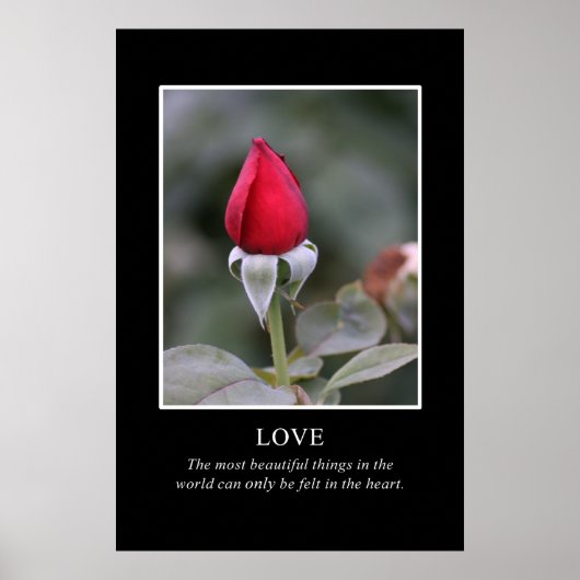 Alleen het hart kent ware schoonheid poster (Voorkant)