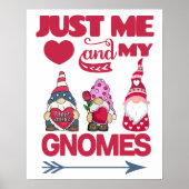 Alleen ik en mijn Gnomes Poster (Voorkant)