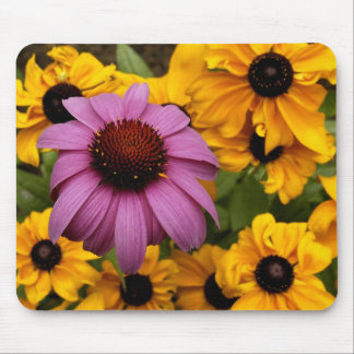 Alleen in de Kroatische Muismat