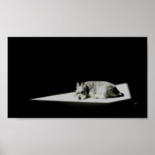 Alleen in het licht poster