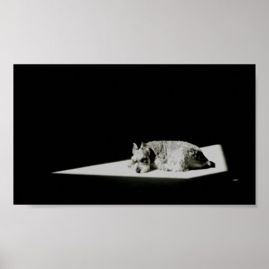 Alleen in het licht poster (Voorkant)