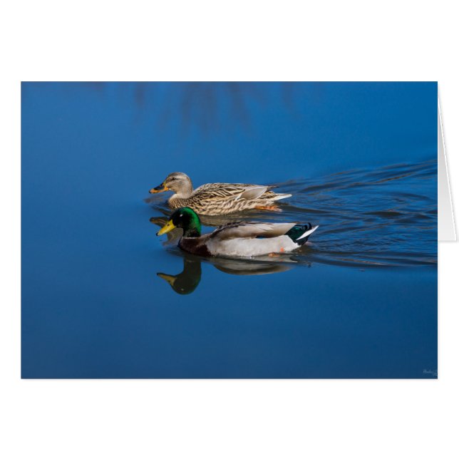 Alleen jij en ik (Voorkant Horizontaal)