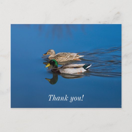 Alleen Jij En Ik Briefkaart (Voorkant)