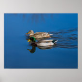 Alleen jij en ik poster (Voorkant)