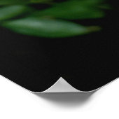 Alleen Joey hybride theeroos Poster (Hoek)