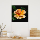 Alleen Joey hybride theeroos Poster (Keuken)