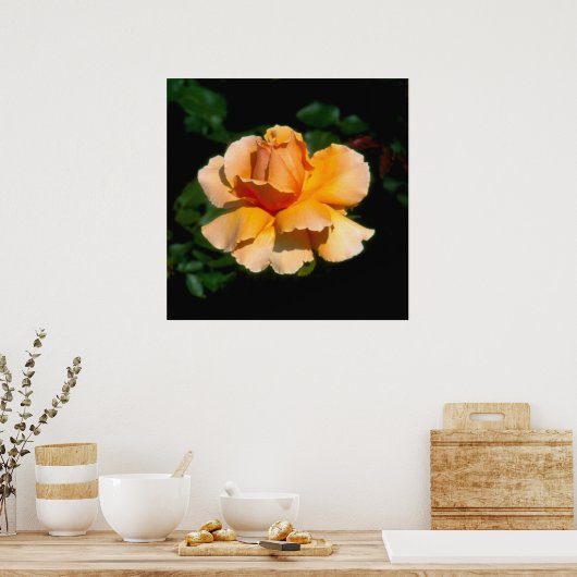 Alleen Joey hybride theeroos Poster (Keuken)