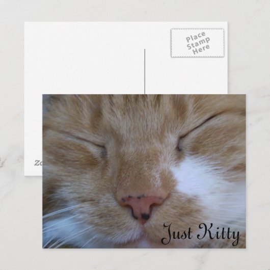 Alleen Kat Briefkaart (Voorkant / Achterkant)