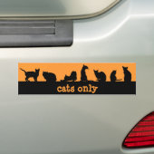 alleen katten bumpersticker (Op auto)