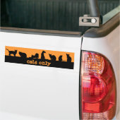 alleen katten bumpersticker (Op Truck)