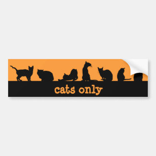 alleen katten bumpersticker