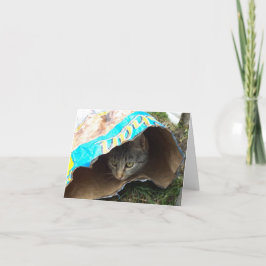 Alleen katten en katjes - lege kaart