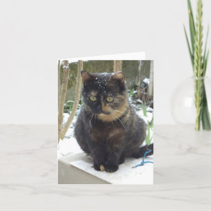 Alleen katten en kittens - blanco kaart