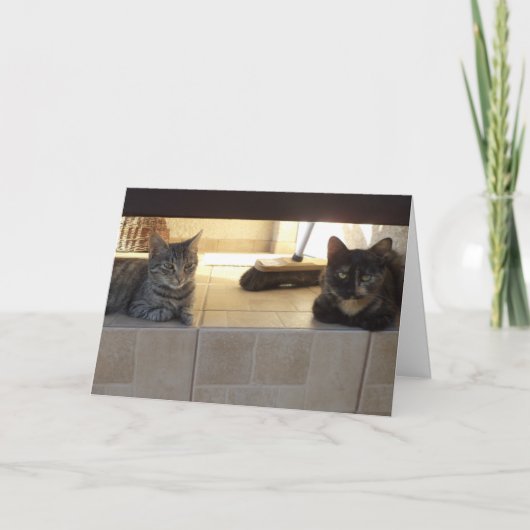 Alleen katten en kittens - blanco kaart (Voorkant)