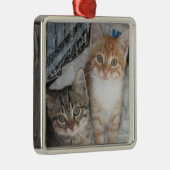 Alleen Kittens Metalen Ornament (Rechts)