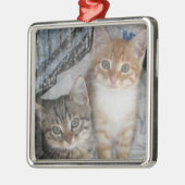 Alleen Kittens Metalen Ornament (Links)