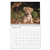 Alleen luipaarden - Agenda 2012 Kalender (Feb 2027)