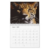 Alleen luipaarden - Agenda 2012 Kalender (Mar 2027)