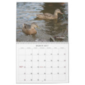 Alleen maar een ducky kalender (Mar 2027)
