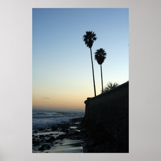 alleen maar een paar palmbomen poster (Voorkant)