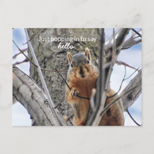 Alleen maar inpakken om Hallo te zeggen Feestdagenkaart