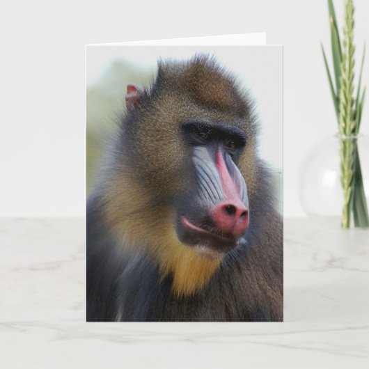 Alleen man kaart (Voorkant)