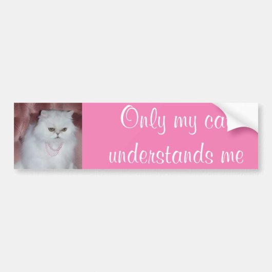Alleen mijn kat begrijpt me Bumpersticker Persian (Voorkant)