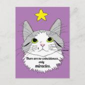 Alleen Miracles Inspirerend Ragdoll Cat Briefkaart (Voorkant)