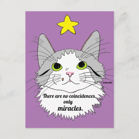 Alleen Mirakels Inspirerende Ragdoll Kat Briefkaart (Voorkant)