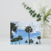 Alleen Palm Bomen Dank Je Kaartje Briefkaart (Staand voorkant)