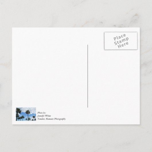 Alleen Palmbomen Dank Je Kaart (Achterkant)