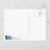 Alleen palmbomen Dankkaartje Briefkaart (Achterkant)