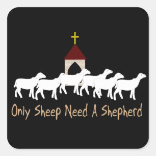 Alleen schapen hebben schapen nodig vierkante sticker