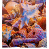 Alleen Shells Douchegordijn (Voorkant)