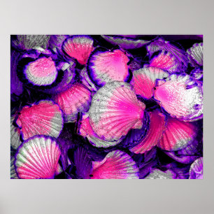 Alleen Shells Poster