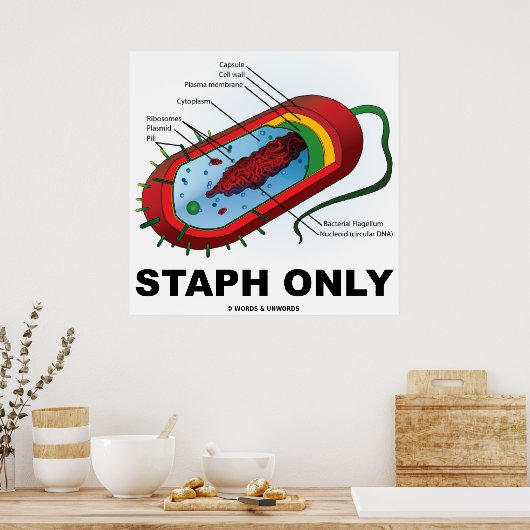 Alleen Staph (Bacteria Prokaryote) Poster (Keuken)