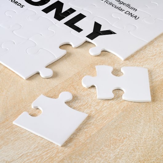 Alleen Staph (Bacterium Diagram Prokaryote Bacteri Legpuzzel (Zijkant)