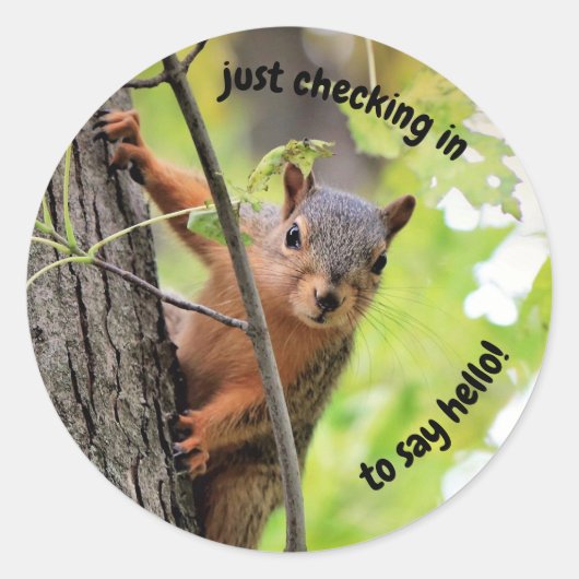 Alleen Stickers inchecken (Voorkant)