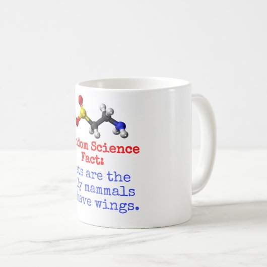 alleen vleermuizen zijn zoogdieren . koffiemok (Voorkant rechts)