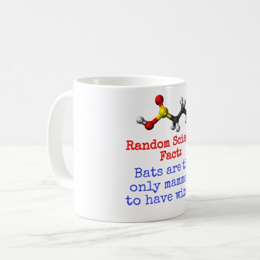 alleen vleermuizen zijn zoogdieren . koffiemok (Voorkant links)