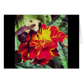 Alleen voor de bijen.