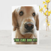 Alleen voor Fun. Guilty Golden Retriever Apology K Kaart (Gele Bloem)