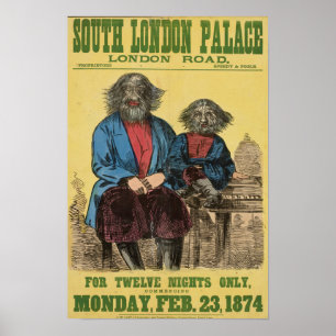 Alleen voor Poster met twaalf nachts