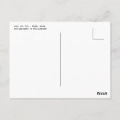 Alleen voor u - Papieren Rozen Briefkaart (Achterkant)