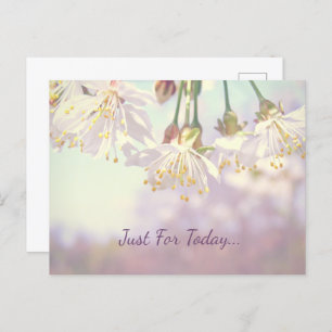 Alleen voor vandaag... briefkaart