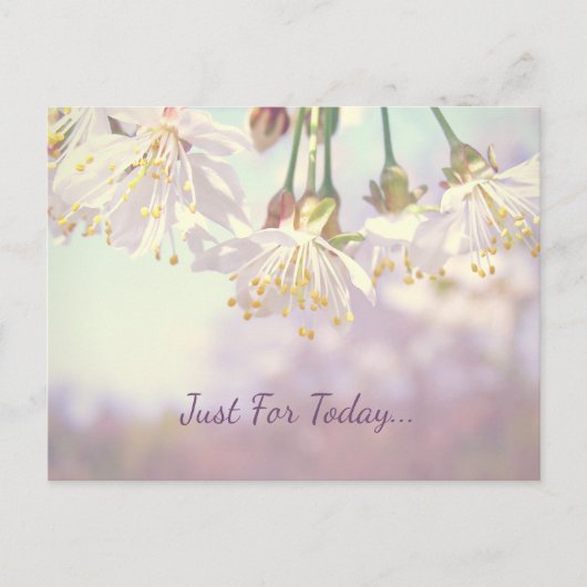 Alleen voor vandaag... briefkaart (Voorkant)
