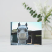 Alleen voor vandaag briefkaart (Staand voorkant)