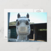 Alleen voor vandaag briefkaart (Voorkant / Achterkant)