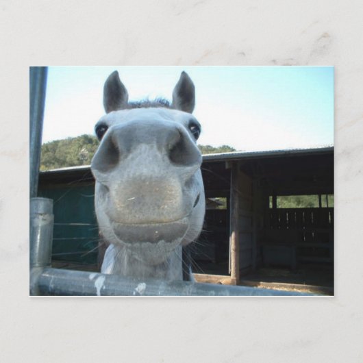 Alleen voor vandaag briefkaart (Voorkant)