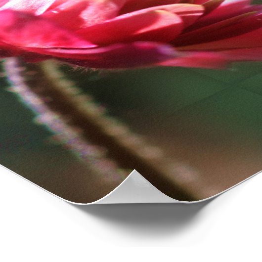 Alleen voor vandaag Inspirerend gebeden Floral Poster (Hoek)